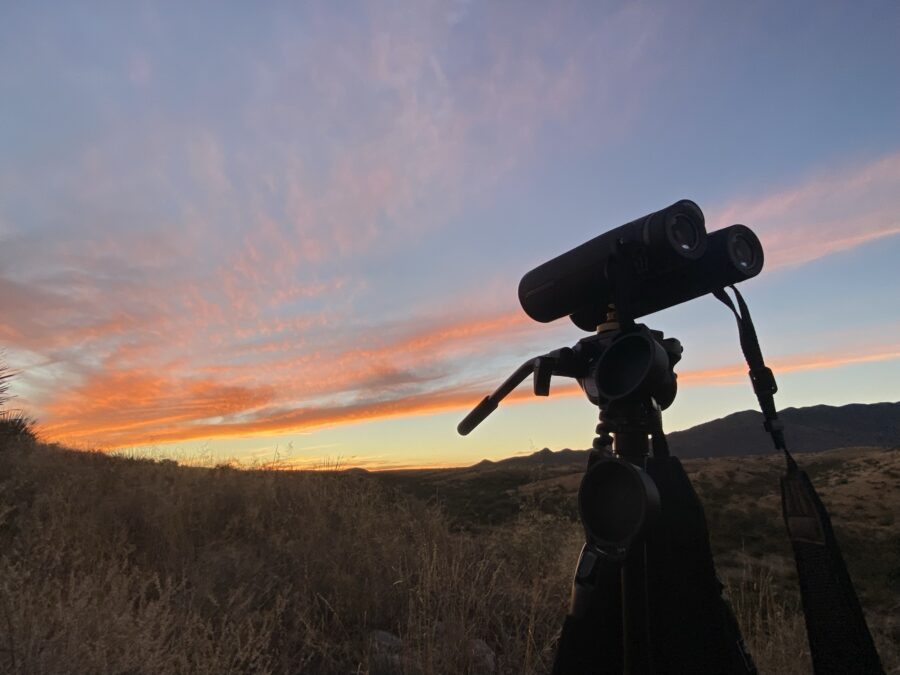 GPO Passion 12.5X50 HD