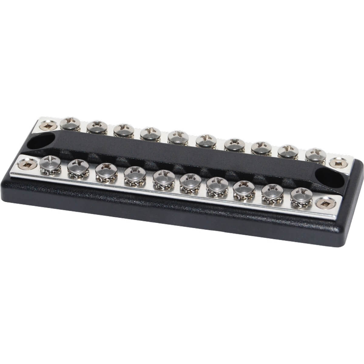 DualBus 100A BusBar – 10 Circuit